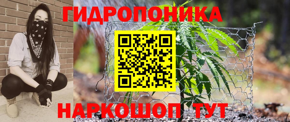 Шишки марихуана White Widow  Конопля SATIVA & INDICA  Бошки Шишки конопля  Алексин  Вход с VPN  Марихуана ГИДРОПОН 